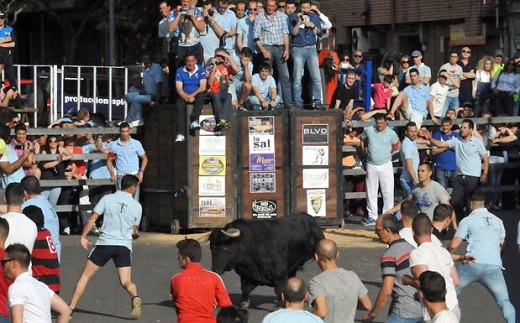El Toro de la Feria celebrará este fin de semana una nueva edición en Medina del Campo. / FRAN JIMÉNEZ